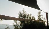 Trail On foot Cassis - Sentier du Cap Canaille - Photo 10