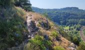 Excursión Senderismo Yvoir - Yvoir, boucle sur les roches, réserve de Champalle - Photo 12