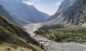 Trail Walking Vallouise-Pelvoux - 05-pre-Mme-Carle-refuge-glacier-blanc-10km690m - Photo 11