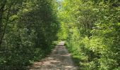 Trail Walking Nogent-sur-Marne - 2023 06 29 mi Balade decathlon 