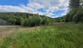 Tocht Stappen Gedinne - rando bourseigne vieille 15-06-2024 - Photo 1