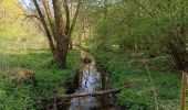 Tour Wandern Mettet - Devant les boisBois - Photo 3