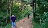 Trail Walking Presles - Serre Cocu - Photo 1