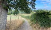 Tour Wandern Aubel - Aubel 17 km - Photo 13