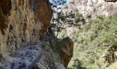 Excursión Senderismo Thuès-Entre-Valls - gorge de la Carança  - Photo 5