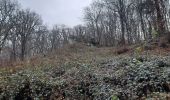 Trail Walking Libin - laisse la lesse  - Photo 9