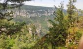 Randonnée Marche Massegros Causses Gorges - Baousse del fiel - Photo 4