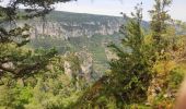 Trail Walking Massegros Causses Gorges - Baousse del fiel - Photo 4