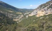 Tour Wandern Mollans-sur-Ouvèze - Canyon du Toulourenc 19.5.24 - Photo 8
