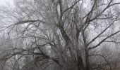 Tocht Stappen Verlaine - 2025-01-19_13h03m19_circuit_autour_du_chateau_de_seraing-le-chateau-3 - Photo 1
