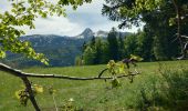 Randonnée Marche Corrençon-en-Vercors - balladecavec les copines - Photo 5