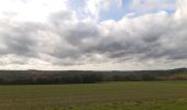 Trail Walking Mörsdorf - pont suspendu de Geierlay - Photo 3