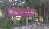 Trail Walking Maussane-les-Alpilles - Tour du Geand Mejean - Photo 1