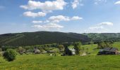 Tocht Stappen Vielsalm - rando ennal 11-05-2022 - Photo 15