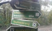 Tour Zu Fuß Kyffhäuserland - Kyffhäuserweg - Photo 2