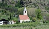 Percorso A piedi Laces - Sentiero panoramico di Coldrano - Photo 3