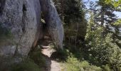Trail Walking Saint-Martin-en-Vercors - grotte de la cheminée  - Photo 9