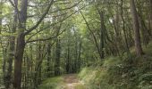 Tour Wandern Leigneux - Randonnée au dessus de Leigneux  - Photo 11