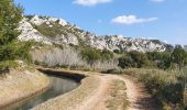 Randonnée Marche Mouriès - Les Castellas des Baux - Photo 11