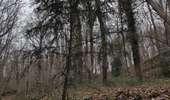 Randonnée Marche Dampierre-en-Yvelines - 260114 Maincourt - Photo 2