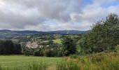 Trail Walking Chalmazel-Jeansagnière - Au dessus de Chalmazel  - Photo 19