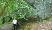 Tour Wandern Hohenfels - GrWandARd 36: Grande-Mormont het fraaiste van de Oostelijke Ourthe - Photo 14