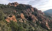 Tour Wandern Saint-Raphaël - Les grues et le Mont St Martin depuis le col Notre Dame - Photo 13