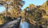 Trail Walking Fontaine-de-Vaucluse - Ballade le long du canal de Carpentras  - Photo 8