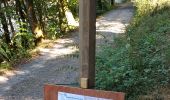 Tour Wandern Vresse-sur-Semois - vresse 240822 - Photo 11