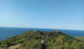 Excursión Senderismo Carqueiranne - Trois forts vers les Oursinieres  - Photo 2