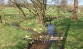 Tour Zu Fuß Jossgrund - Junge Jossa Lettgenbrunn ( Spessartfährten ) - Photo 10