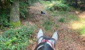 Tour Reiten Habich - Tucker avec les dadous 1ère fois - Photo 1