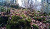 Excursión Senderismo Braillans - Braillans forêt de Chailluz - Photo 7