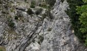 Tocht Stappen Moustiers-Sainte-Marie - moustiers ste Marie - Photo 2