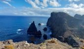 Tour Wandern Caniçal - Punta Sao Lorenço - Photo 8