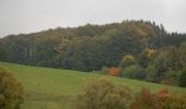 Tocht Stappen Bastenaken - RB-Lu-27_Lutrebois - Photo 2