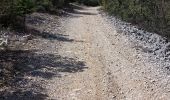Trail Walking Flassan - Sentiers sauvages de la Combe Ripert - Photo 6