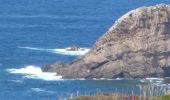 Tocht Te voet Gozón - Wikiloc Cabo Penes - Photo 6