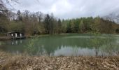 Trail Walking Vresse-sur-Semois - rando laforêt 9-04-2024 - Photo 17