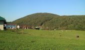 Tour Zu Fuß Hitzendorf - Attendorfer Rundwanderweg - Photo 5