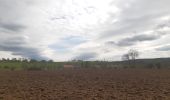 Trail Walking Trooz - forêt  . st hadelin  . hansez . en gelivaux . foret - Photo 1