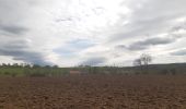 Randonnée Marche Trooz - forêt  . st hadelin  . hansez . en gelivaux . foret - Photo 1