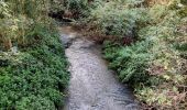 Tour Wandern Incourt - Promenade du Tumulus (6,1km)  - Photo 5