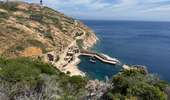 Trail Walking Calvi - Calvi : Pointe de revellata - Photo 17