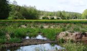 Tocht Te voet Uehlfeld - Karpfen-Rundweg Uehlfeld - Photo 1