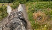 Trail Horseback riding Neufchâteau - Bois d’Ospot depuis les pompiers - Photo 11