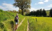 Percorso Marcia Anthisnes - 2019-05-16 Liege RB 18 Tavier 22 km - Photo 6