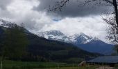 Tocht Stappen Theys - TOUR DE LA GRANGE DE BELLE AUX AIRS - Photo 12