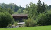 Trail On foot Appenzell - Pfeff ond Lischt - Photo 10