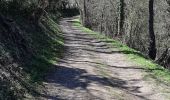 Trail Walking Romagnat - PUY GIROUX - Photo 2
